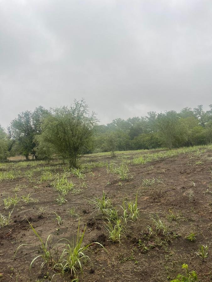Land in Ciudad de Allende, Nuevo León, Mexiko 2 - 19131333