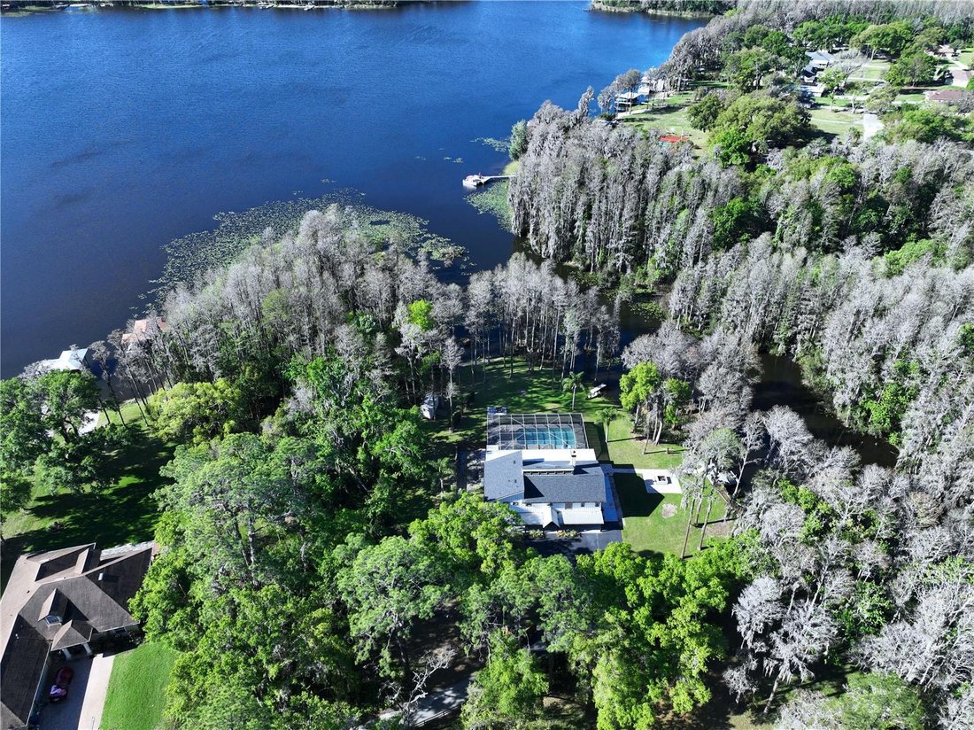 House in Land O' Lakes, Florida, United States 3 - 19125359