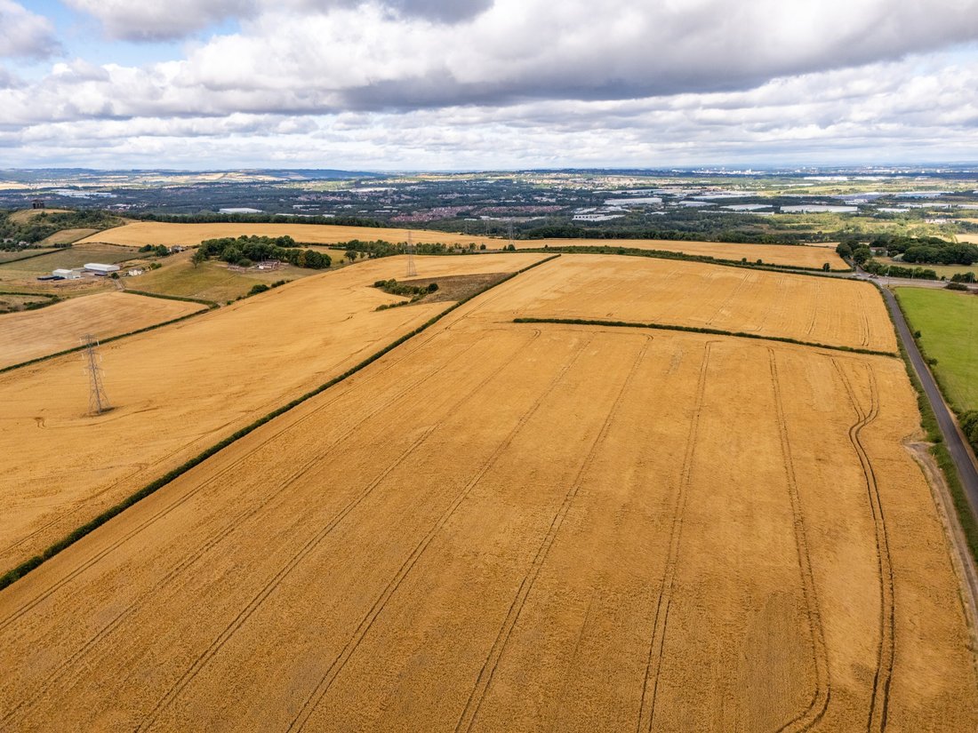 Farm Ranch in Sunderland, England 3 - 19124324