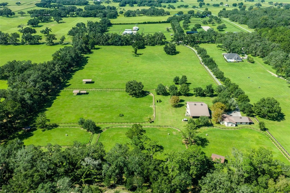 Farm Ranch in Ocala, Florida, Vereinigte Staaten 2 - 17178378