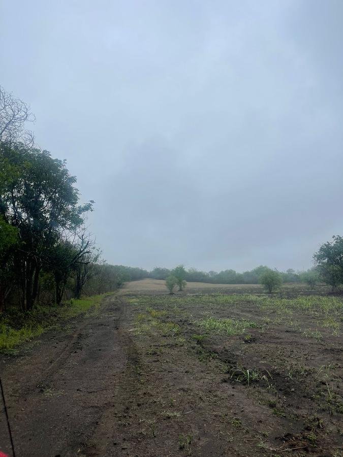 Land in Ciudad de Allende, Nuevo León, Mexiko 1 - 19131333
