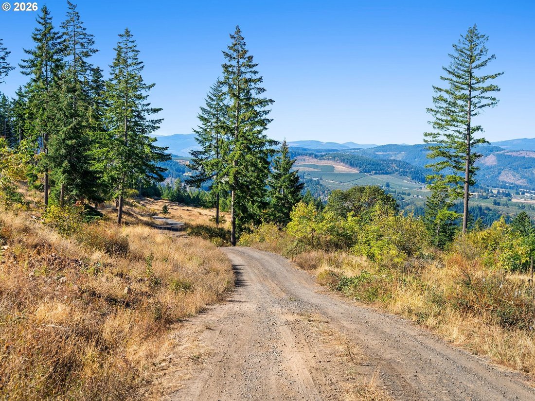 Terrain à Hood River, Oregon, États-Unis 4 - 19133474