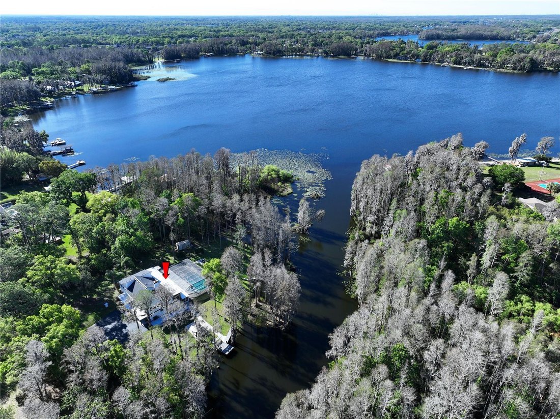 House in Land O' Lakes, Florida, United States 2 - 19125359