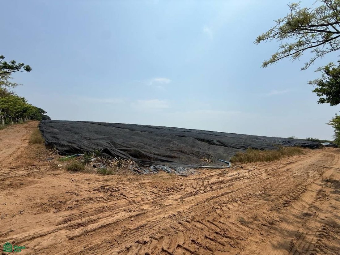 Land in Guillermina Morales, Veracruz, Mexiko 5 - 19134781