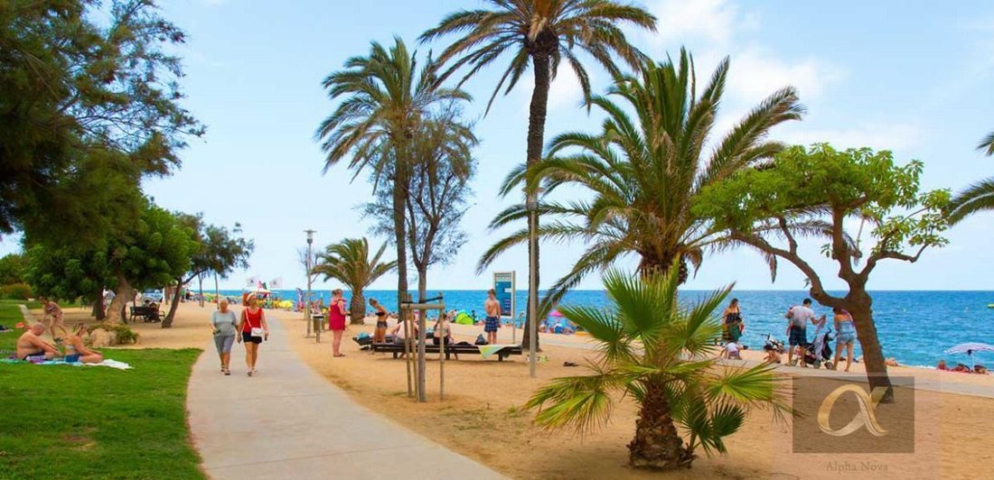 Land in Pineda de Mar, Katalonien, Spanien 3 - 19132015