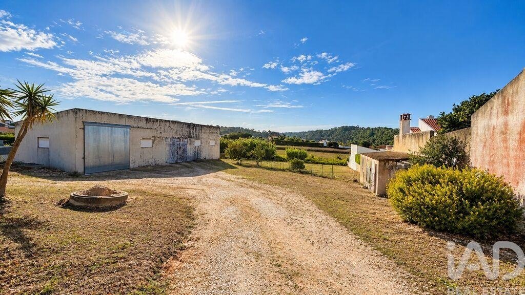 Farm Ranch in Mafra, Lissabon, Portugal 5 - 19133985