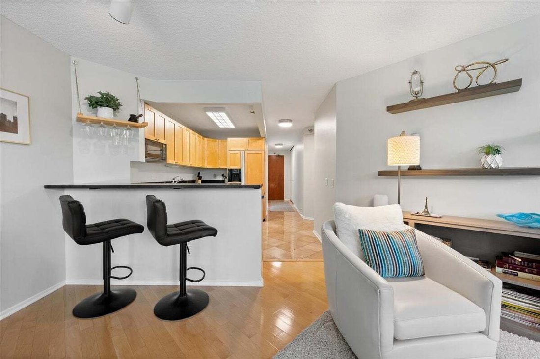 Appartement à Chicago, Illinois, États-Unis 3 - 19130919