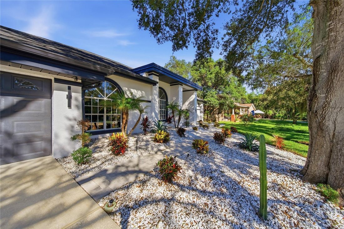 House in Tarpon Springs, Florida, United States 3 - 19128650