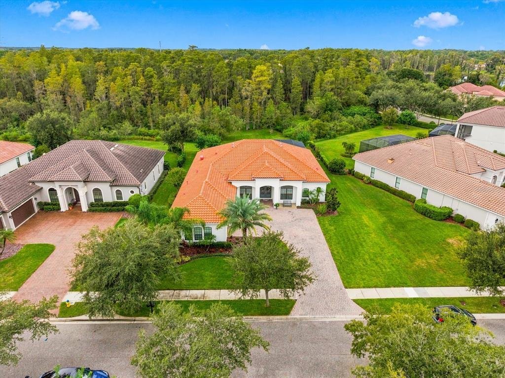 Maison à Lutz, Floride, États-Unis 4 - 19123825