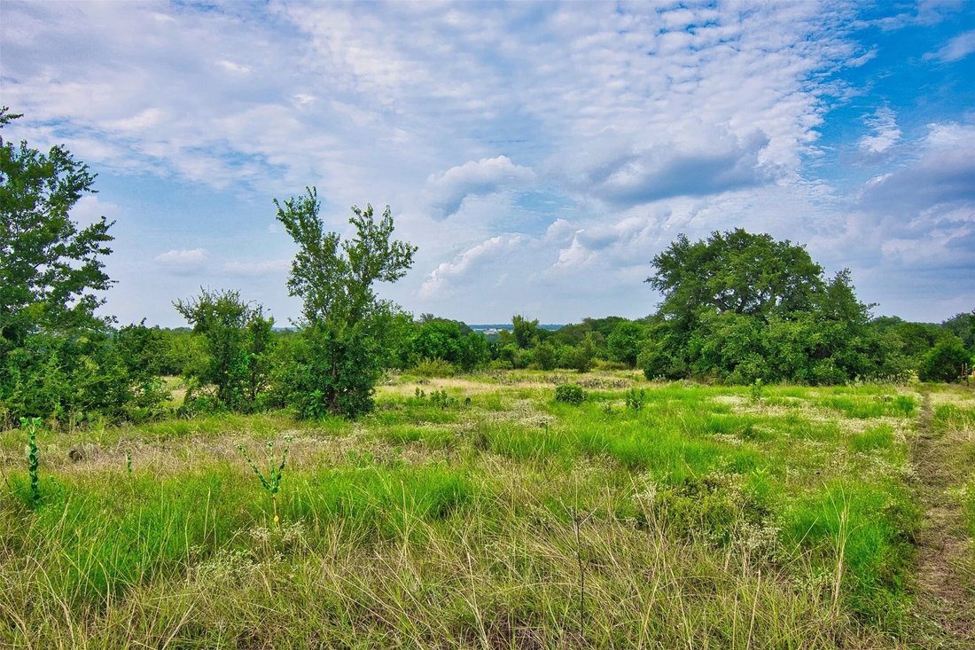 Terreno a Georgetown, Texas, Stati Uniti 4 - 19123466