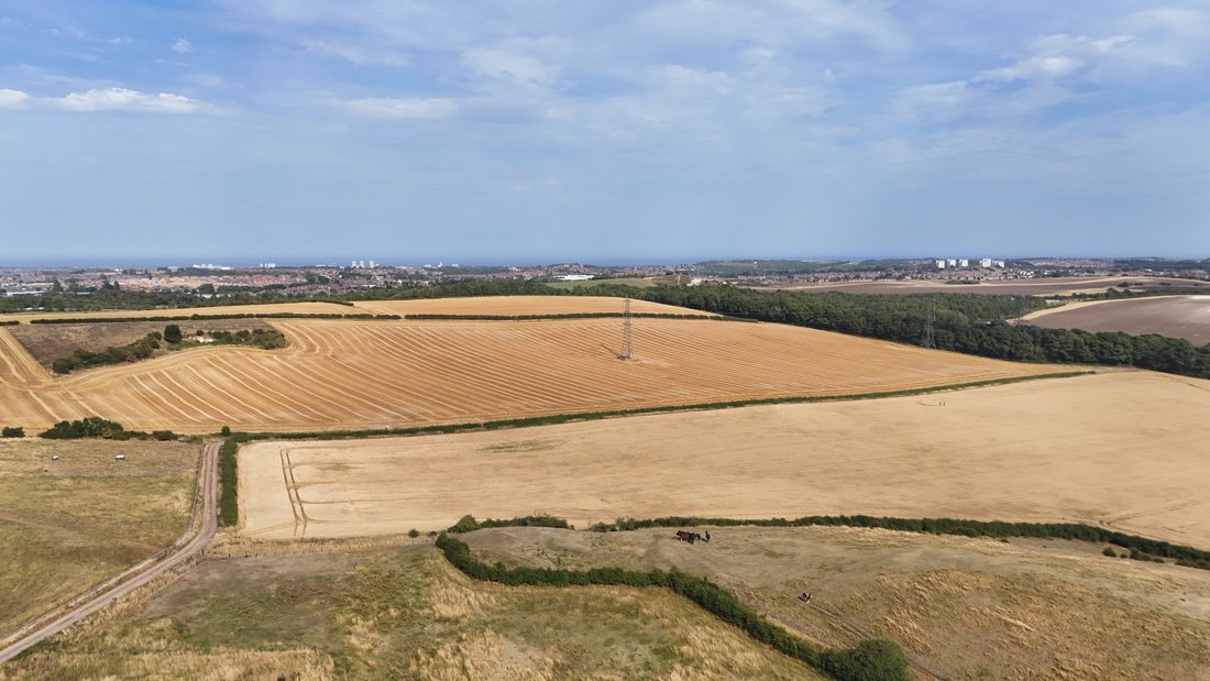 Farm Ranch in Sunderland, England 2 - 19124324
