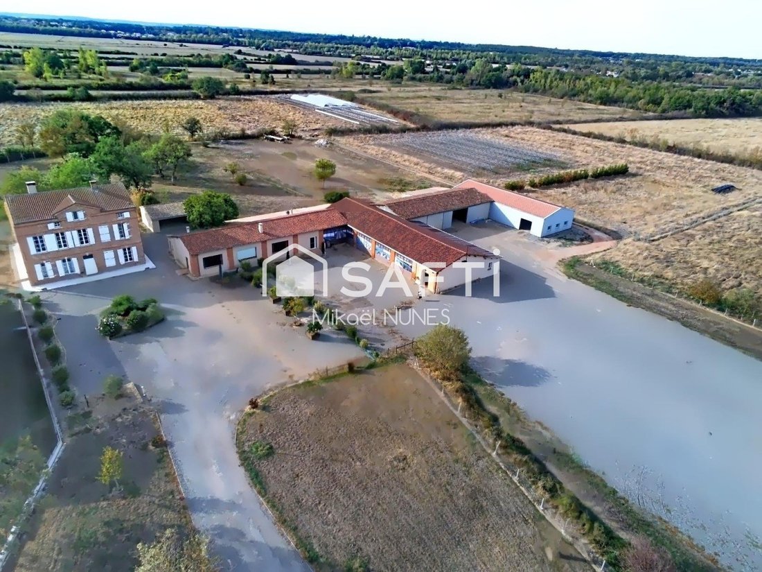 Andere in Monestie-Birazel, Plaisance-du-Touch, Frankreich 1 - 19130033