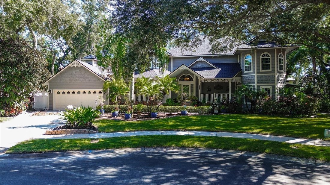 Casa a Palm Harbor, Florida, Stati Uniti 3 - 19125385