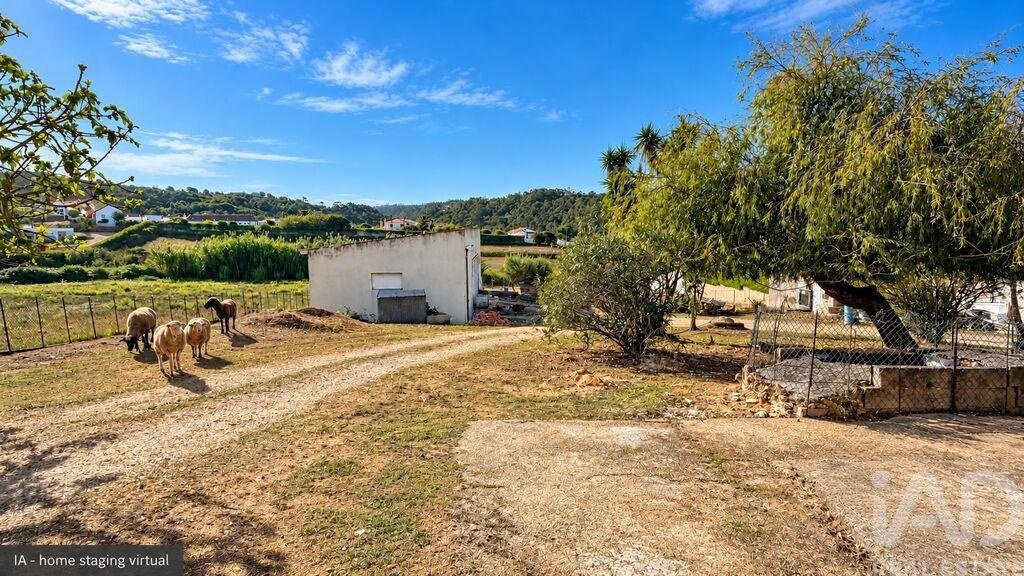 Farm Ranch in Mafra, Lissabon, Portugal 4 - 19133985