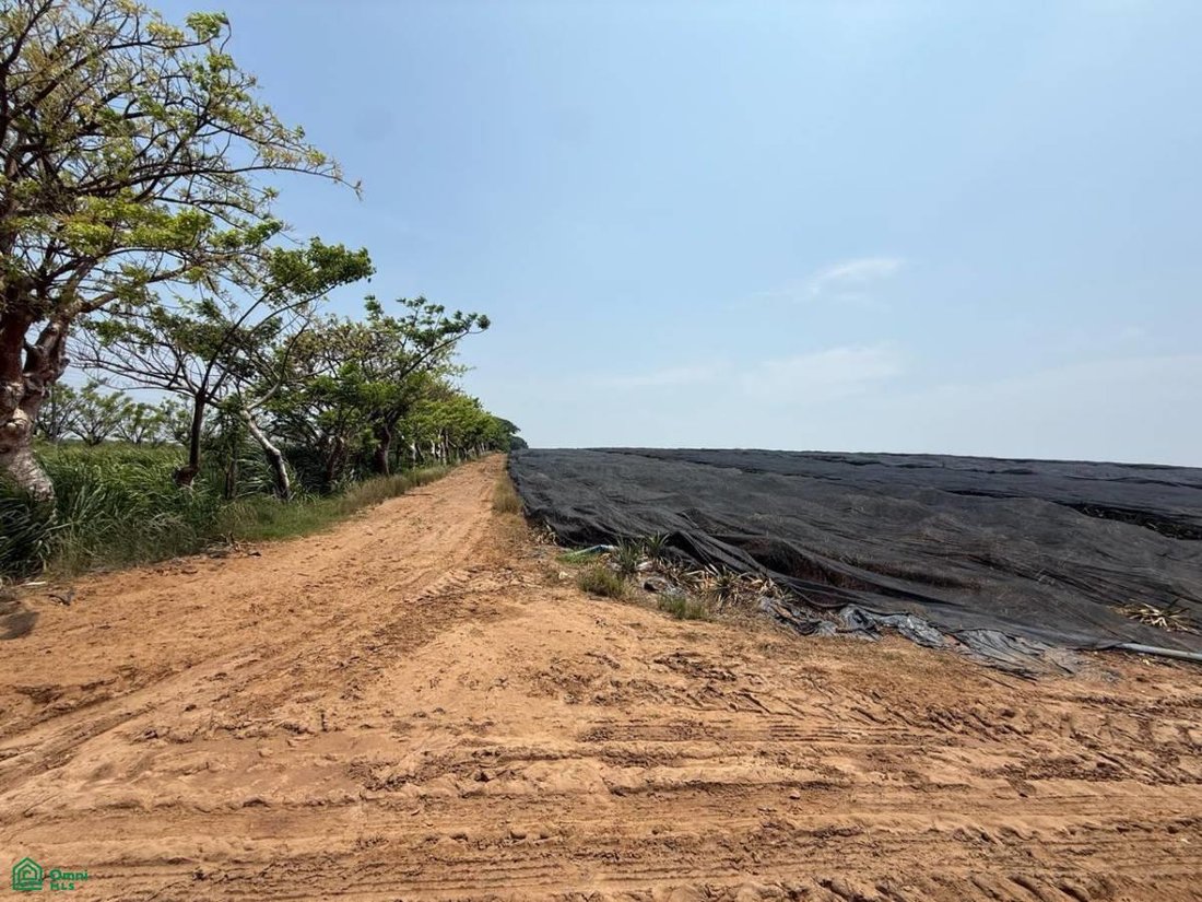 Land in Guillermina Morales, Veracruz, Mexiko 4 - 19134781