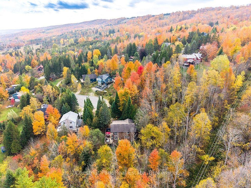 Maison à Grey Highlands, Ontario, Canada 3 - 19129612