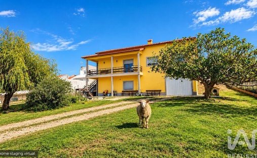 Azienda agricola a Mafra, Lisbona, Portogallo 1