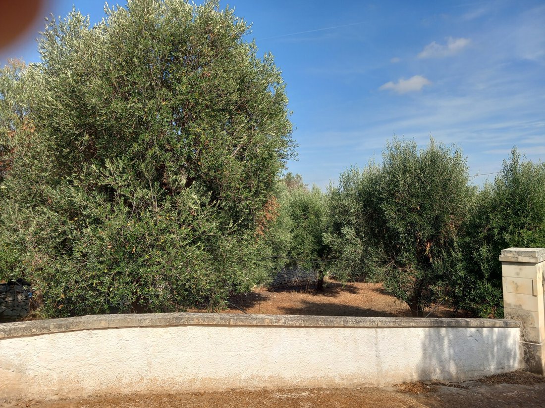 Casa en Santa Catalina - Ramunno - Chianchizzo, Ostuni, Apulia 5 - 19127509
