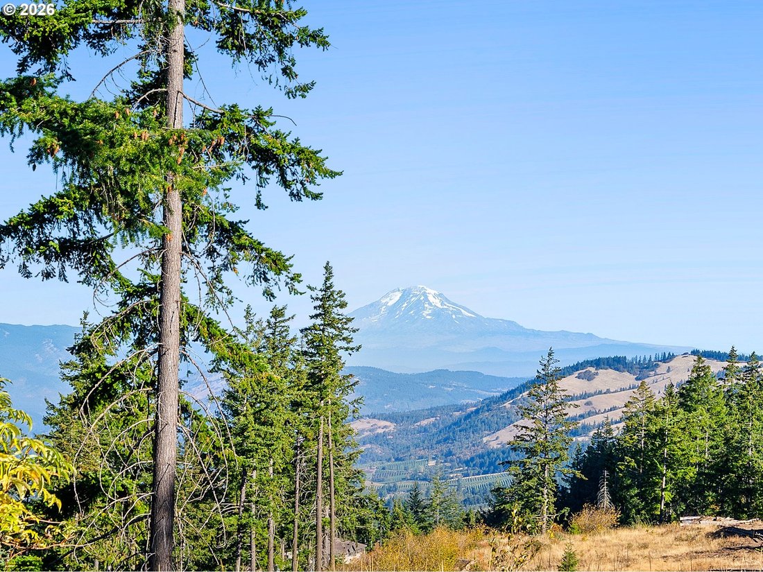 Terrain à Hood River, Oregon, États-Unis 5 - 19133474