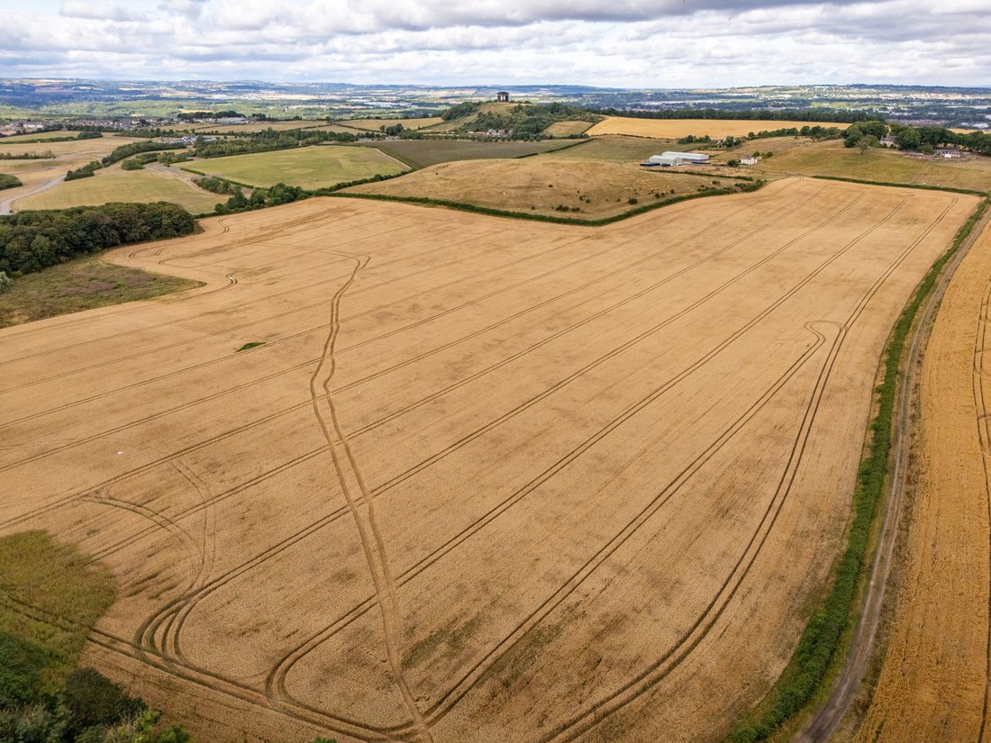 Farm Ranch in Sunderland, England 4 - 19124324