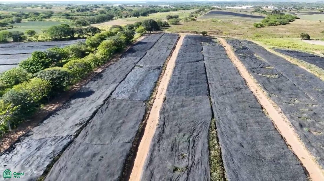 Land in Guillermina Morales, Veracruz, Mexiko 1 - 19134781