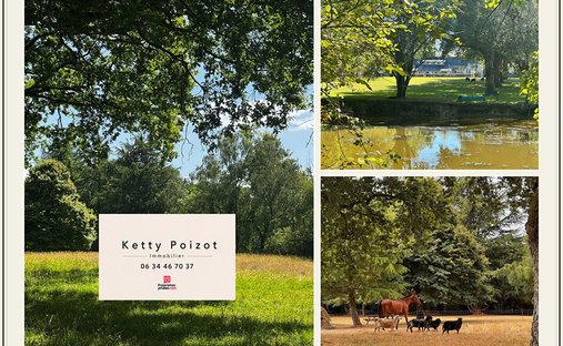 Villa à Nort-sur-Erdre, Pays de la Loire, France 1
