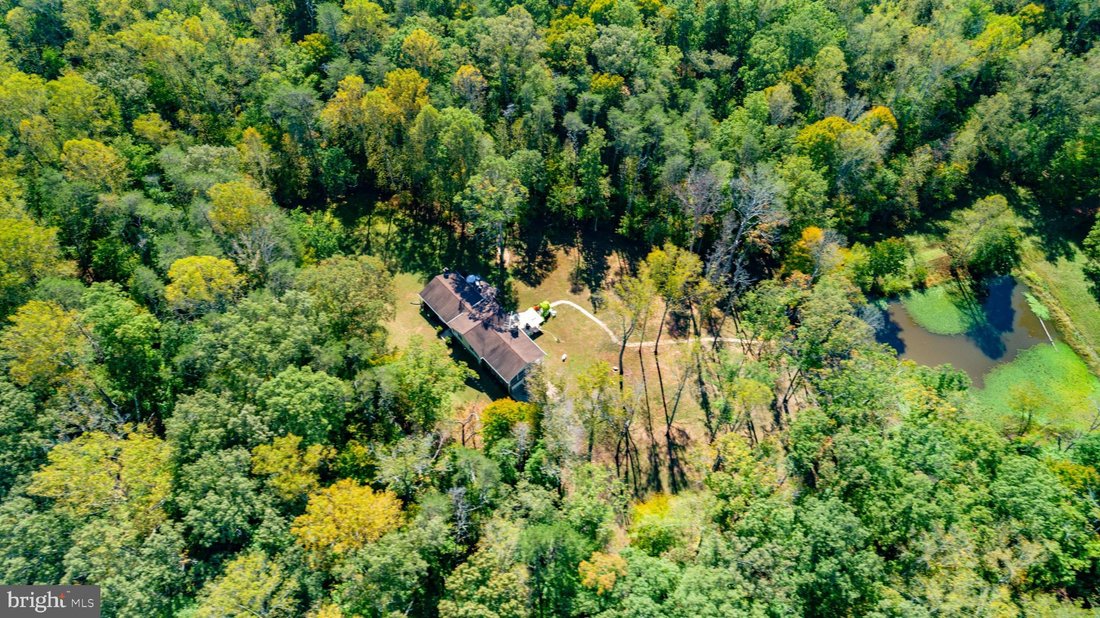 Maison à Unionville, Virginie, États-Unis 2 - 19127683