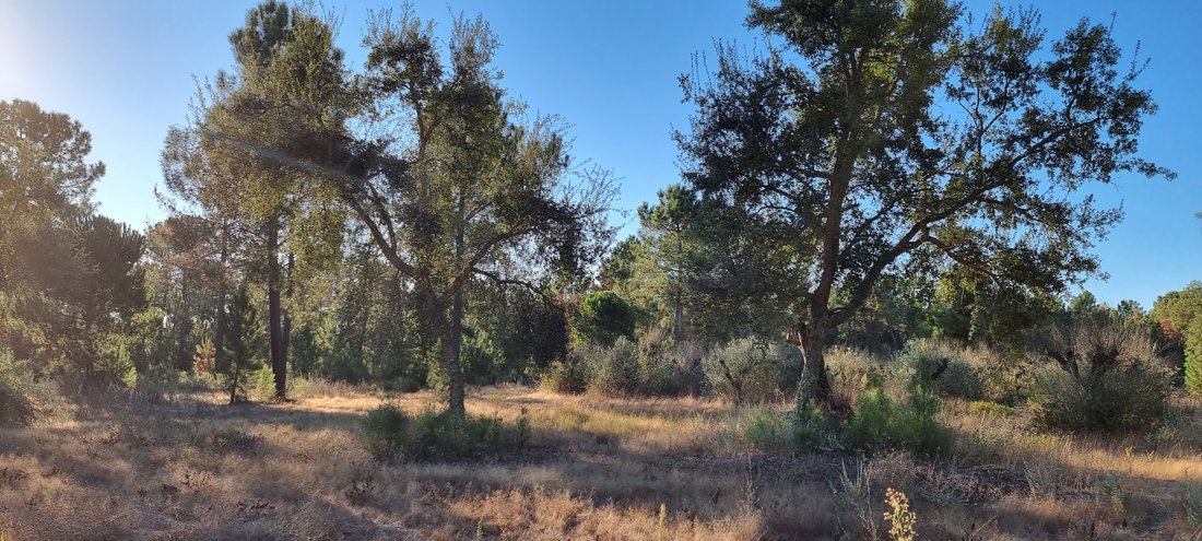 Terrain à Grandola et Santa Margarida da Serra, Setúbal Municipality, Portugal 5 - 19122882