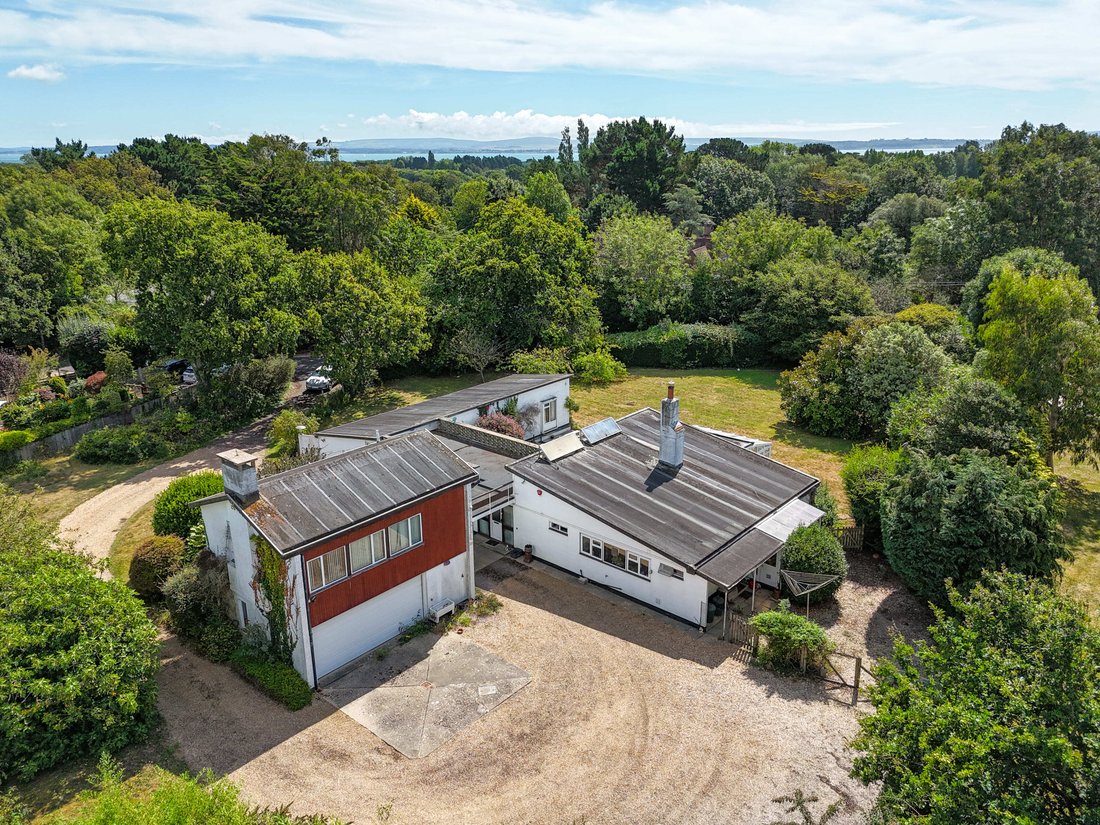 House in New Forest, England 4 - 19124411
