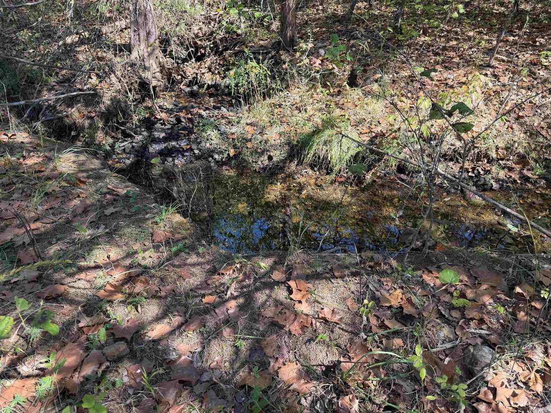 Terrain à Ravenden, Arkansas, États-Unis 4 - 19124171