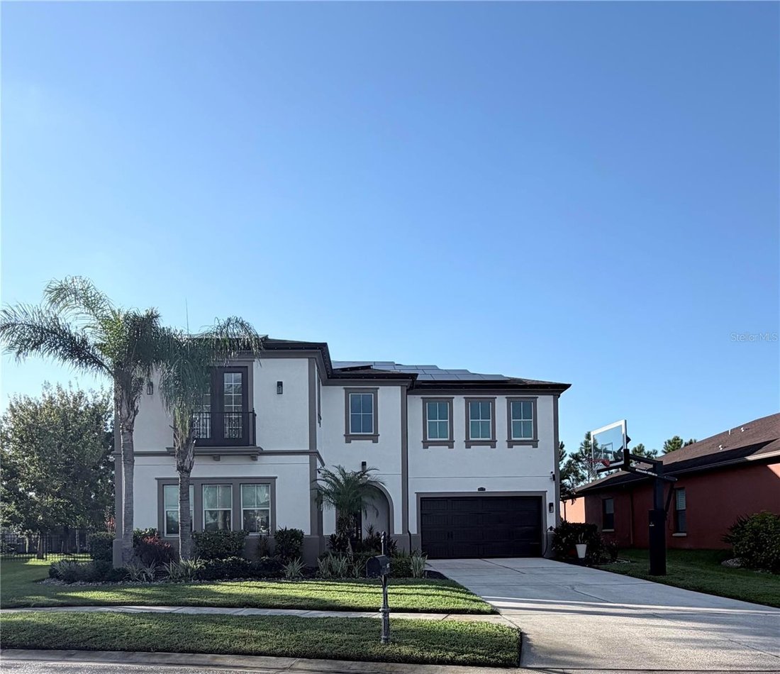 Casa a Trinity, Florida, Stati Uniti 1 - 19051242