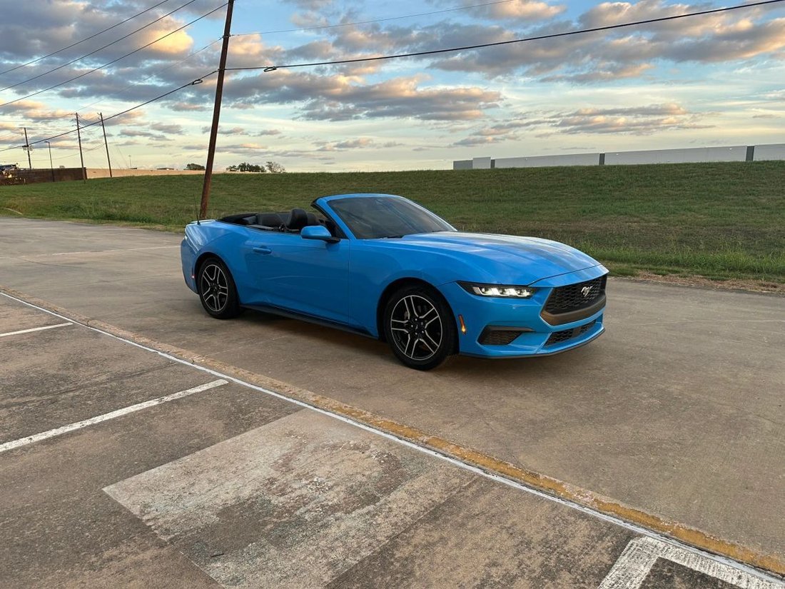 Cabriolet in Farmers Branch, TX, United States 4 - 19132750