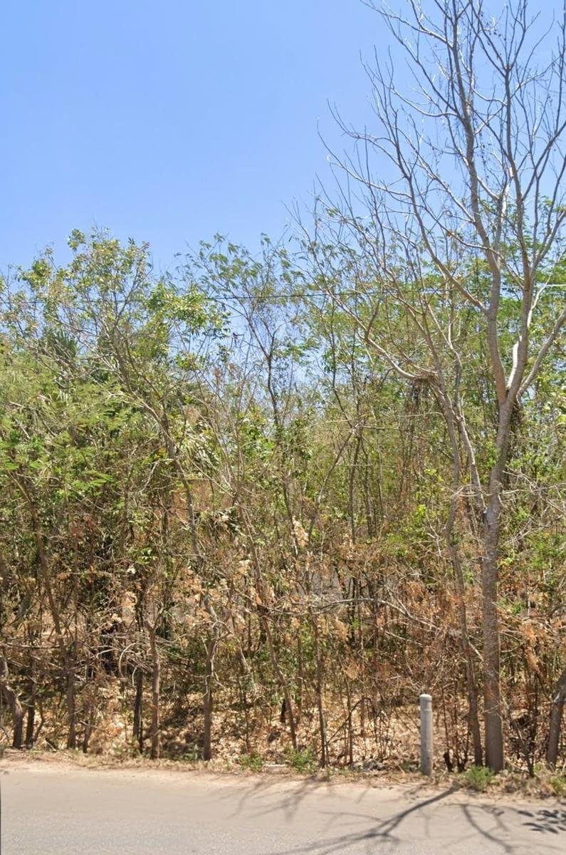 Land in Yotholín, Yucatán, Mexiko 4 - 19123589