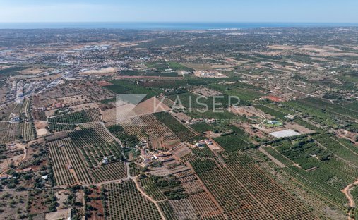 Land in Algoz e Tunes, Algarve, Portugal 1