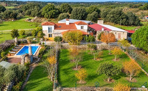 Estate in Alcains, Castelo Branco District, Portugal 1