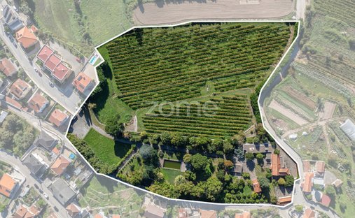 Finca in Termas de Sao Vicente, Distrikt Porto, Portugal 1