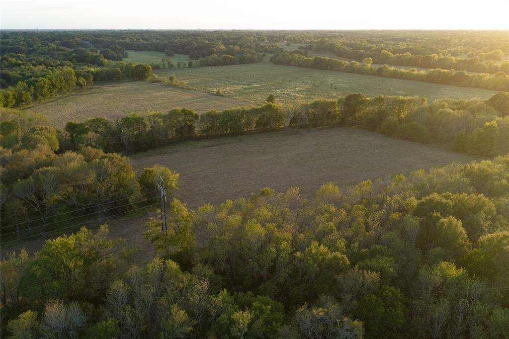 Farm Ranch in Edgewood, Texas, Vereinigte Staaten 4 - 19126025