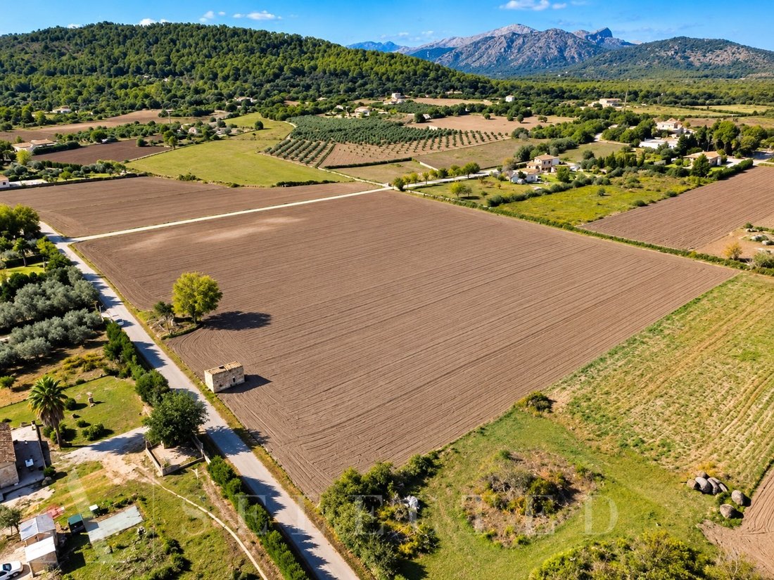 Terreno en Alcudia, Islas Baleares, España 4 - 19133936