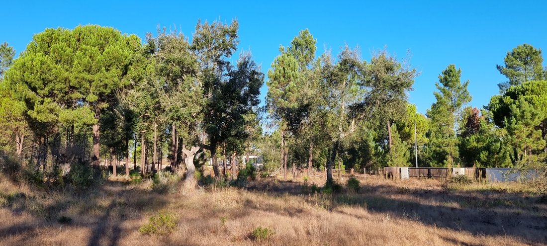 Terrain à Grandola et Santa Margarida da Serra, Setúbal Municipality, Portugal 2 - 19122882