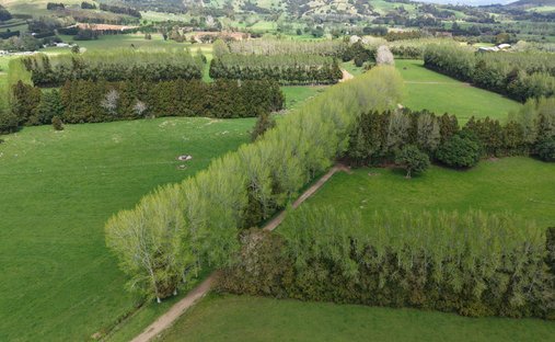 Haus in Kaikohe, Northland, Neuseeland 1
