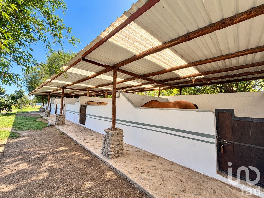 Azienda agricola in Atlixco, Puebla, Messico 5 - 19122639