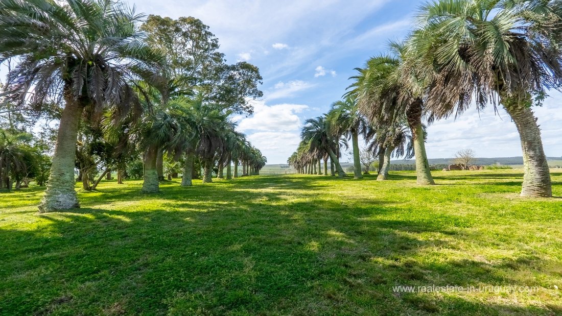 Rancho en El Oratorio, Departamento de Rocha, Uruguay 2 - 19134484
