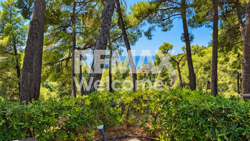 Apartment in Kassandra, Macedonia and Thrace, Greece 5 - 19137019