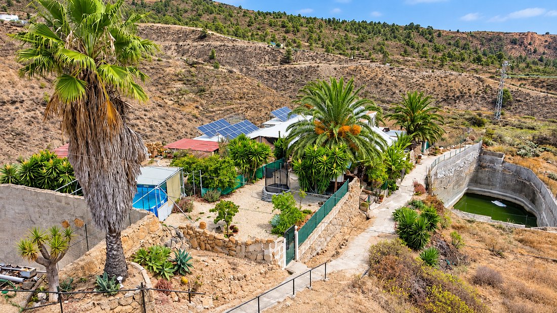 Finca in Granadilla de Abona, Canary Islands, Spain 1 - 19137073