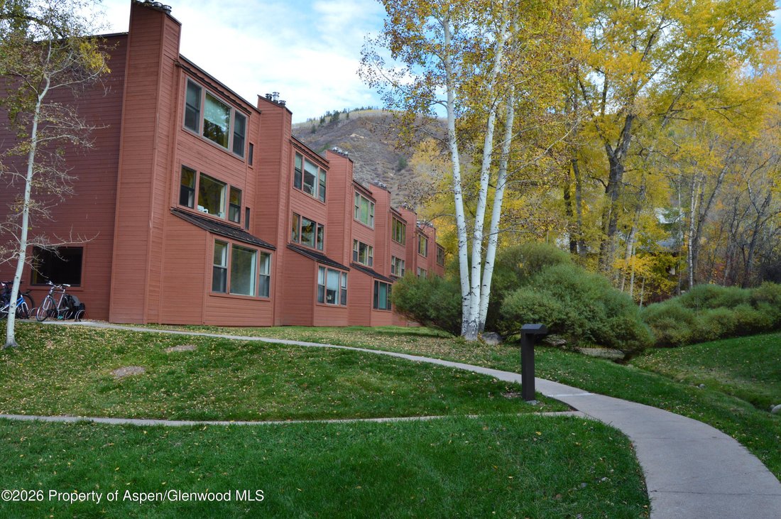 Condo in Aspen, Colorado, United States 1 - 19136686