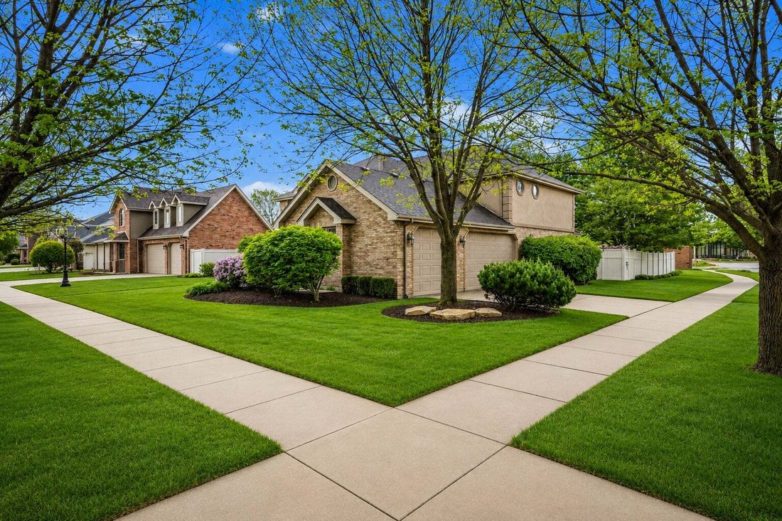Maison à Tinley Park, Illinois, États-Unis 2 - 19136912