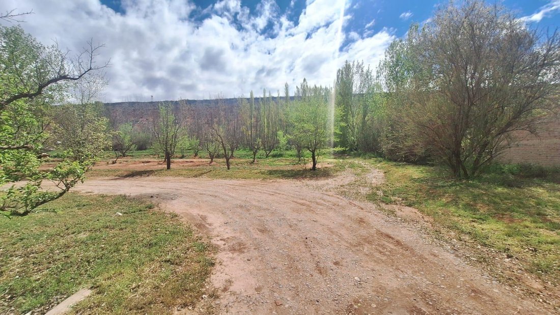Land in Añelo, Neuquén, Argentinien 4 - 19136884