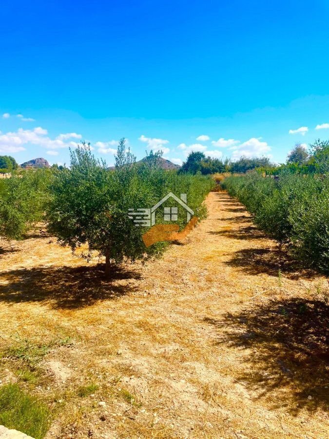 Country House in Velez-Rubio, Andalusia, Spain 2 - 19137251