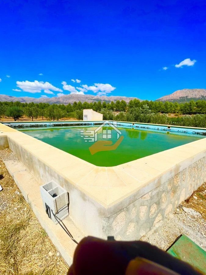 Country House in Velez-Rubio, Andalusia, Spain 5 - 19137251