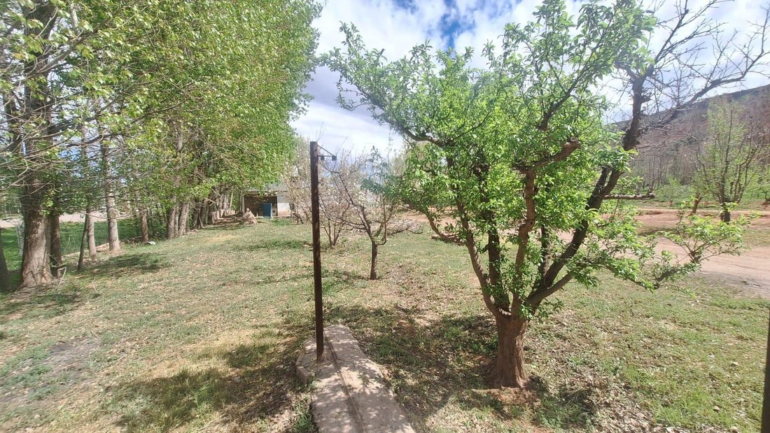 Land in Añelo, Neuquén, Argentinien 5 - 19136884